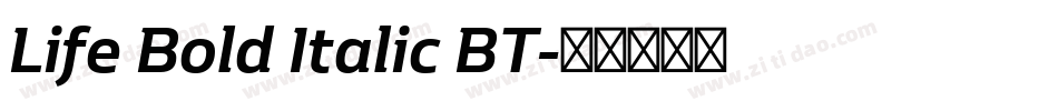 Life Bold Italic BT字体转换
